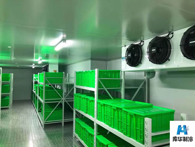肉類速凍冷庫溫度是多少？肉類冷庫怎么建造